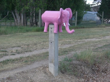 pink elephant letterbox