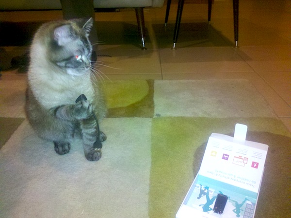 Zara also jumped at the opportunity to analyse the different components. And by "analyse" I, of course, mean "attempt to destroy".