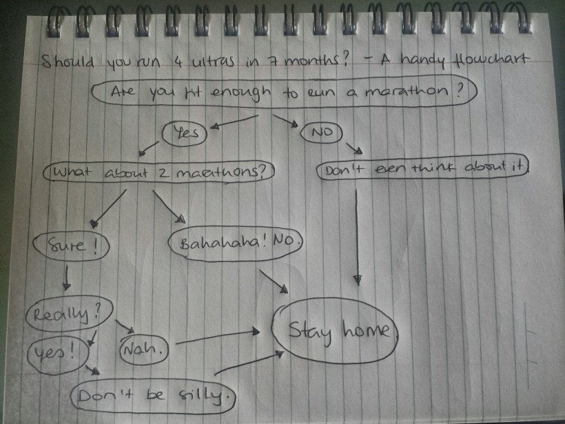 I like to ponder every decision so made this flowchart to really ensure I knew that my life choices make approximately 0.0 sense.